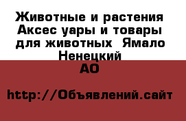 Животные и растения Аксесcуары и товары для животных. Ямало-Ненецкий АО